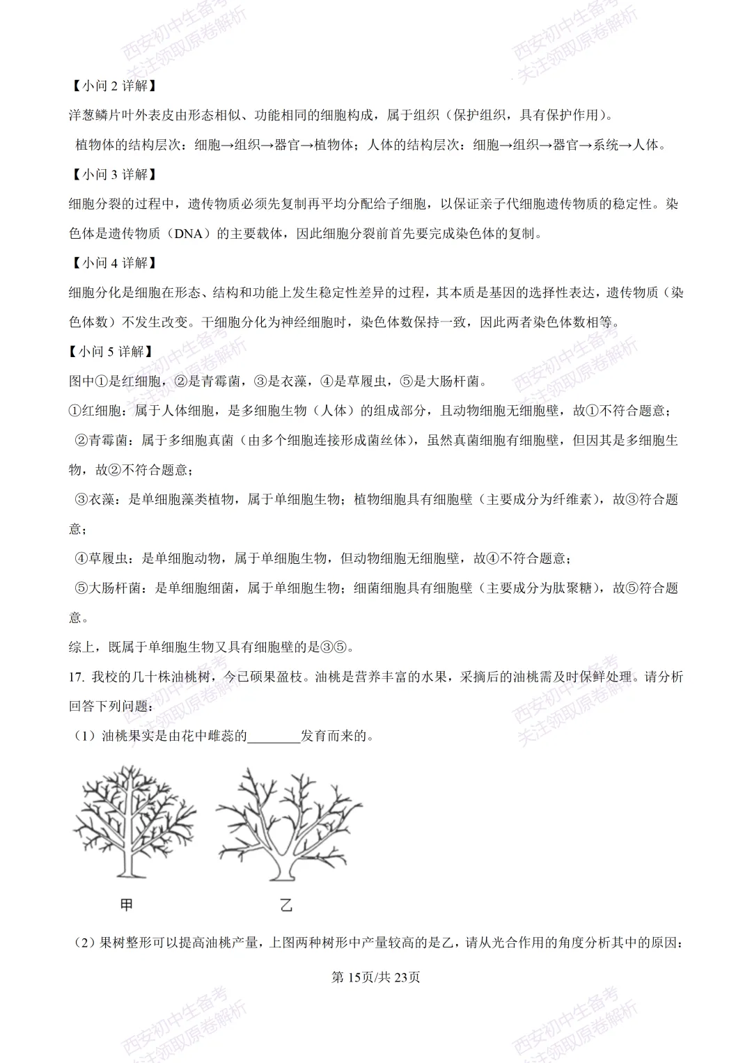 生物复习真题!西安2025中考模拟【高新一中】八年级五模考试,生物试题,试卷+完整版答案,免费下载! 第33张