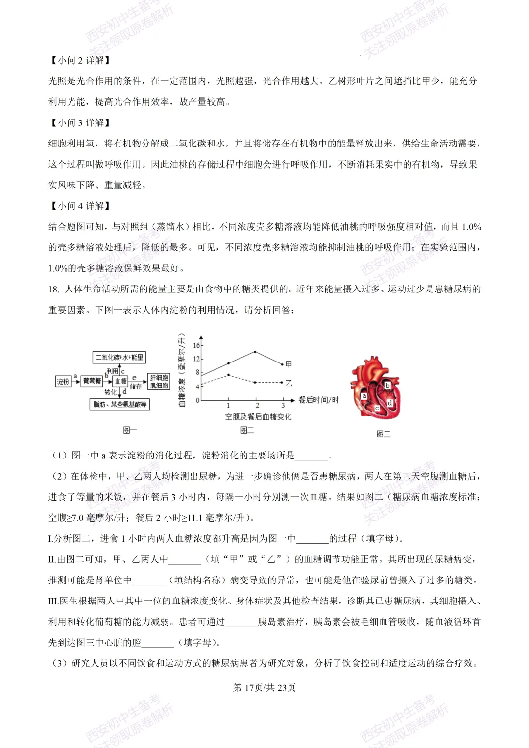 生物复习真题!西安2025中考模拟【高新一中】八年级五模考试,生物试题,试卷+完整版答案,免费下载! 第35张
