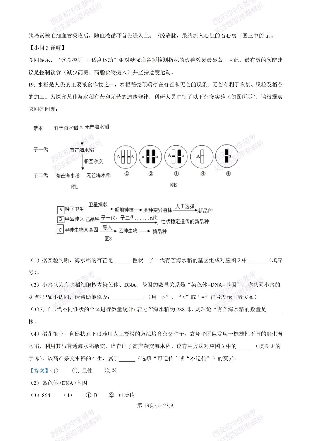 生物复习真题!西安2025中考模拟【高新一中】八年级五模考试,生物试题,试卷+完整版答案,免费下载! 第37张