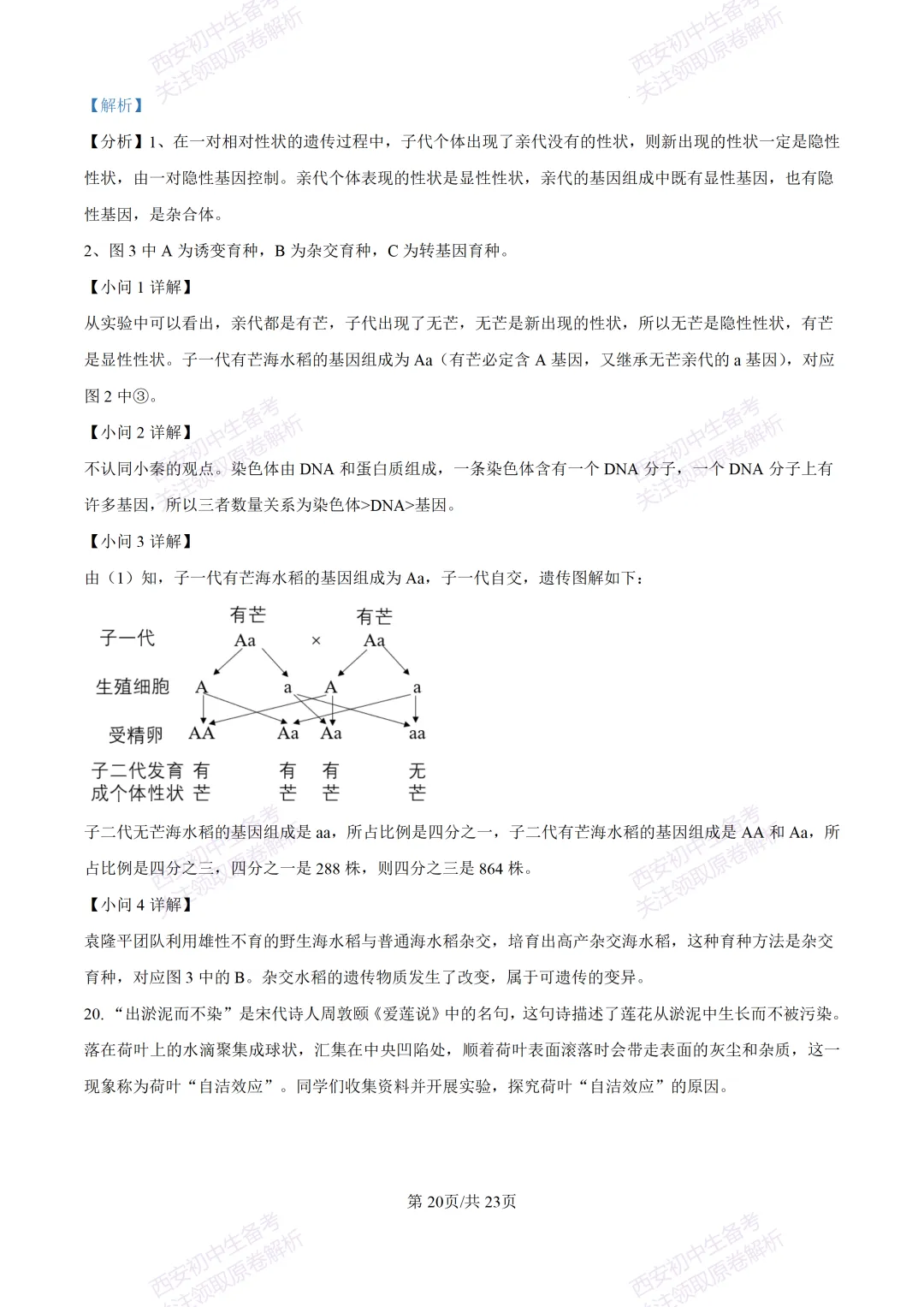生物复习真题!西安2025中考模拟【高新一中】八年级五模考试,生物试题,试卷+完整版答案,免费下载! 第38张