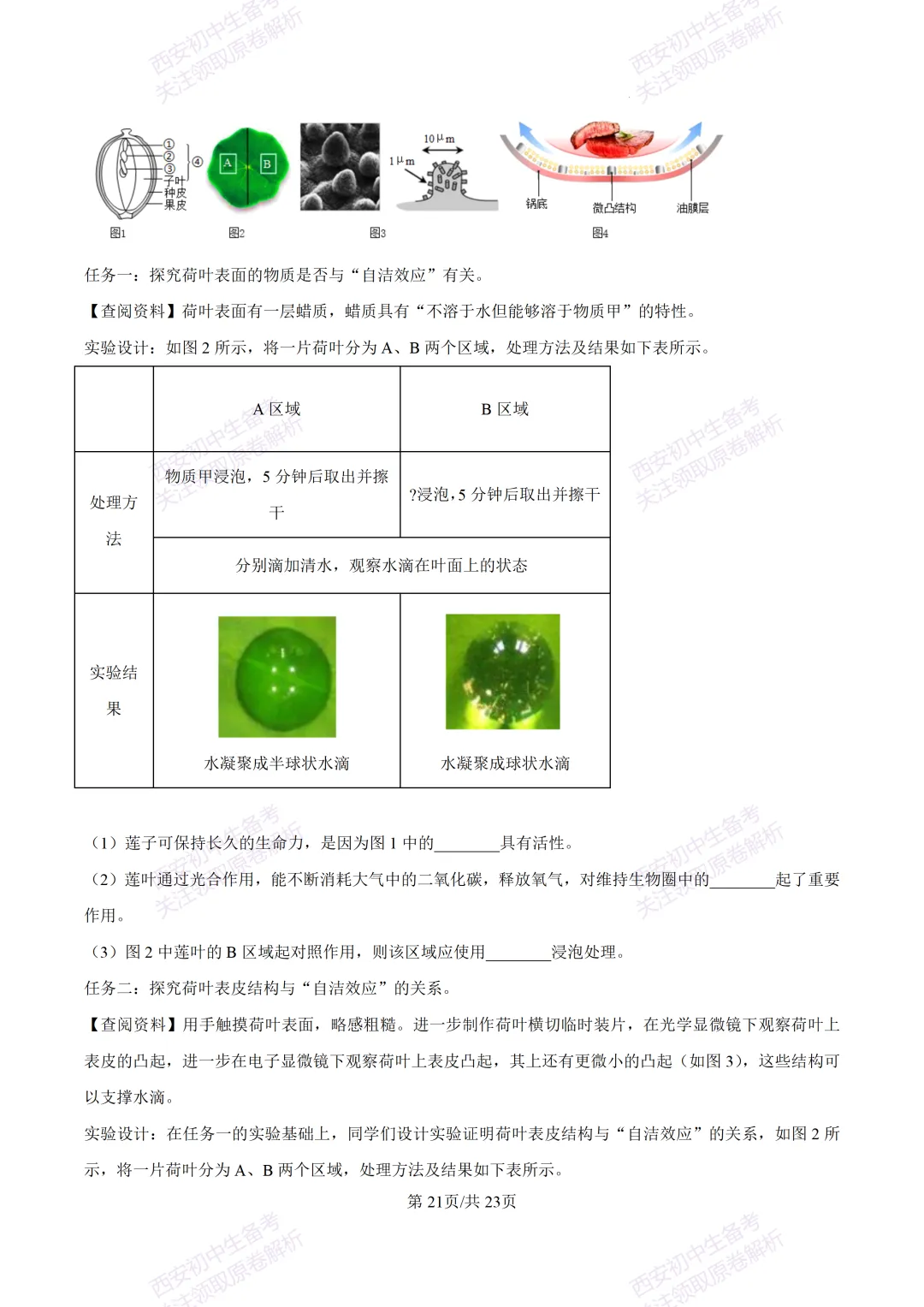 生物复习真题!西安2025中考模拟【高新一中】八年级五模考试,生物试题,试卷+完整版答案,免费下载! 第39张