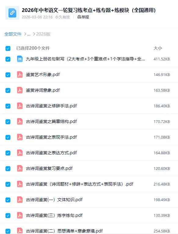 2026中考语文《一轮复习课件+讲义+练习》全国通用,电子版可下载可打印 第20张