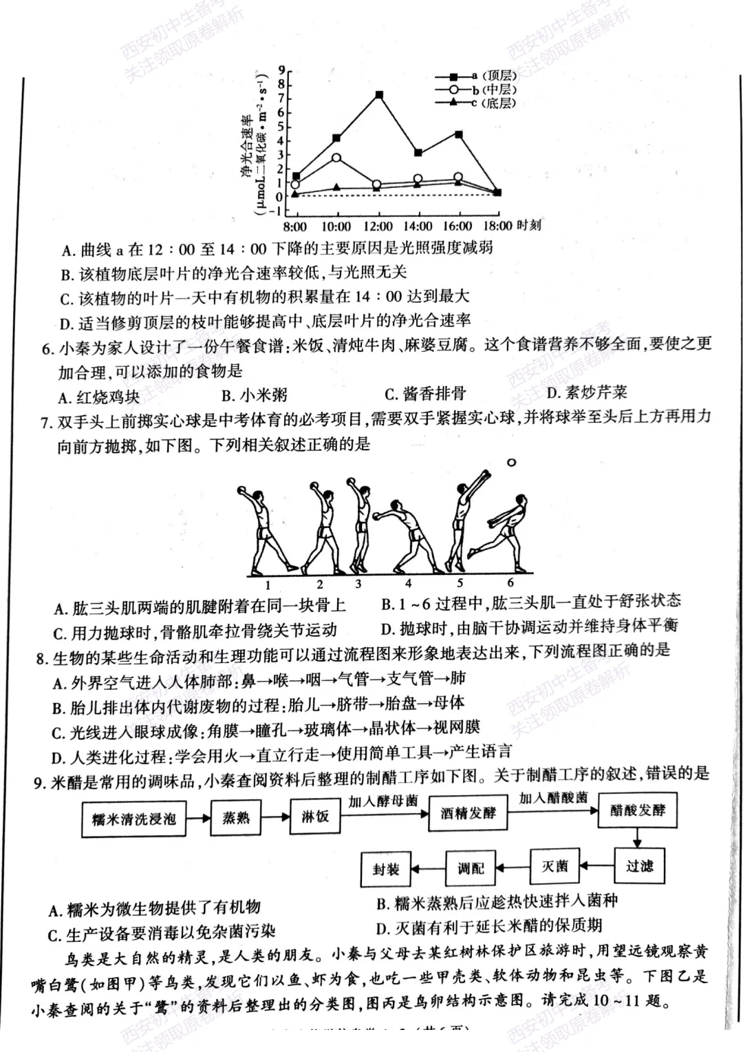 生物复习真题!西安2025中考模拟【新城区】八年级三模考试,生物试题,试卷+完整版答案,免费下载! 第8张