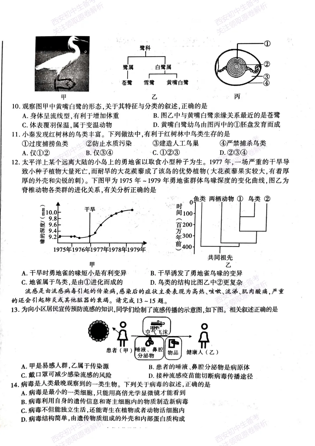 生物复习真题!西安2025中考模拟【新城区】八年级三模考试,生物试题,试卷+完整版答案,免费下载! 第9张