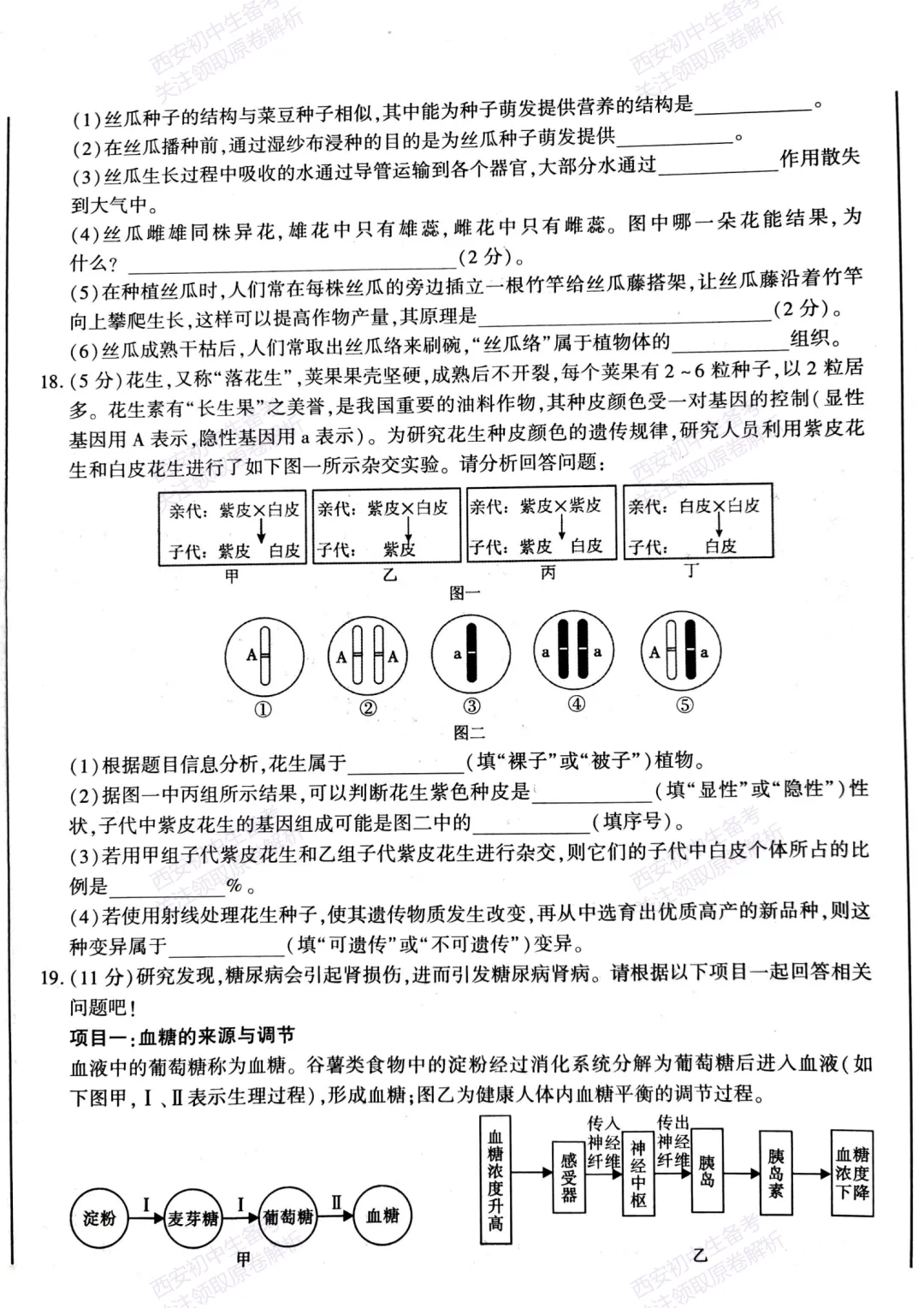 生物复习真题!西安2025中考模拟【新城区】八年级三模考试,生物试题,试卷+完整版答案,免费下载! 第11张