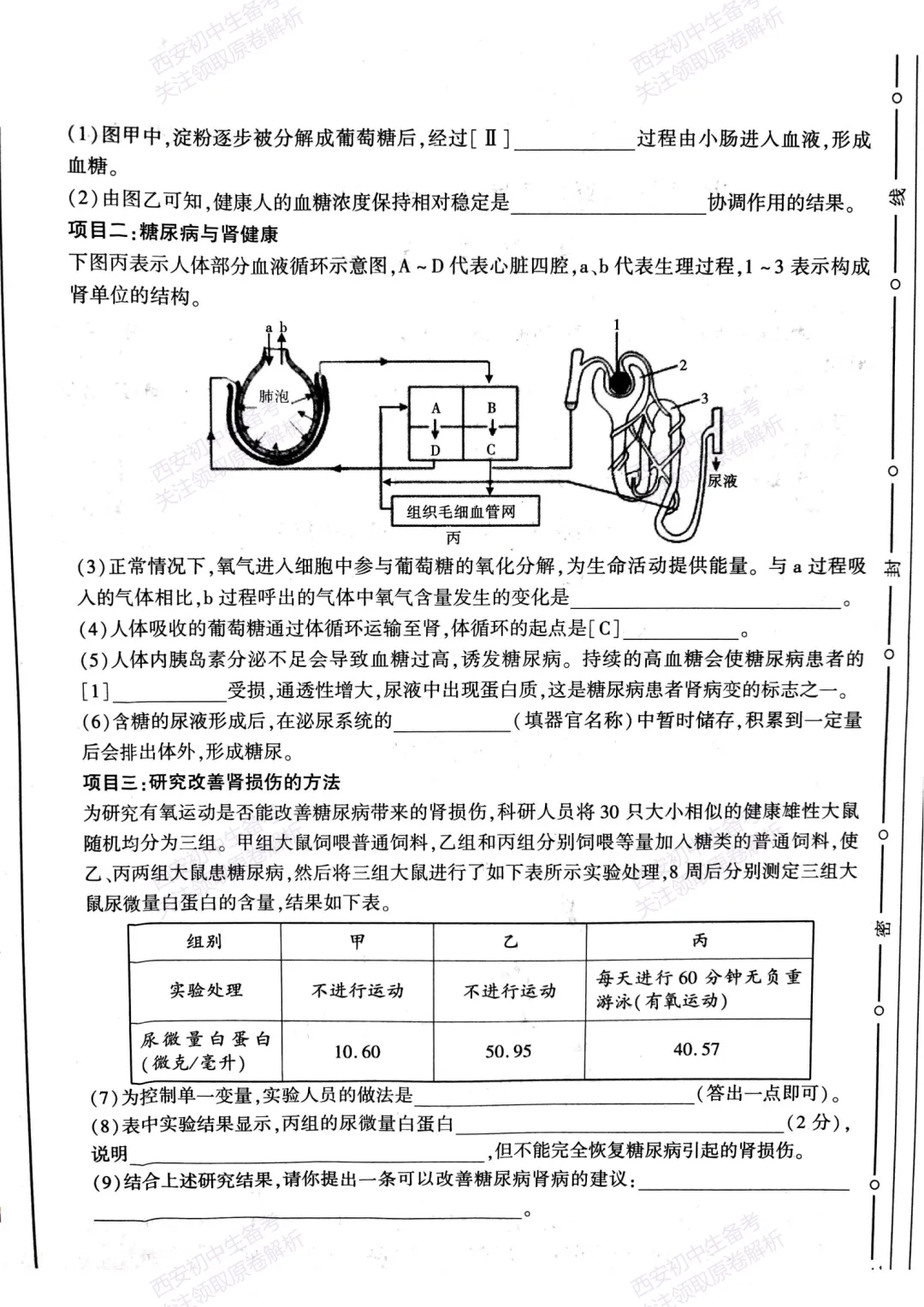 生物复习真题!西安2025中考模拟【新城区】八年级三模考试,生物试题,试卷+完整版答案,免费下载! 第12张