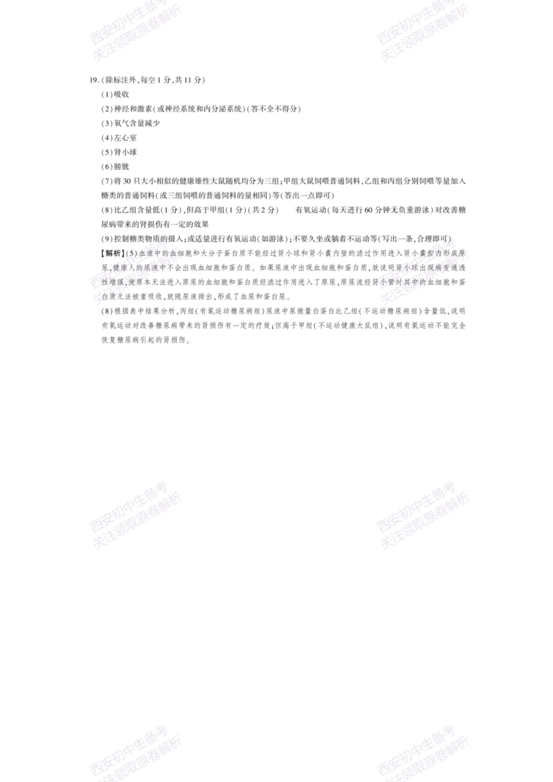 生物复习真题!西安2025中考模拟【新城区】八年级三模考试,生物试题,试卷+完整版答案,免费下载! 第17张