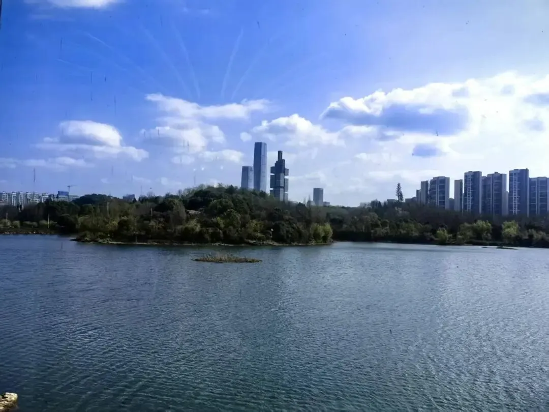 3·15国考税务面试真题|这道辩论题,直接决定你面试能不能拿高分! 第1张 3·15国考税务面试真题|这道辩论题,直接决定你面试能不能拿高分! 第1张