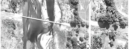 【考点真题汇编】20260316气压带、风带与气候2025年高考分类汇编 第8张