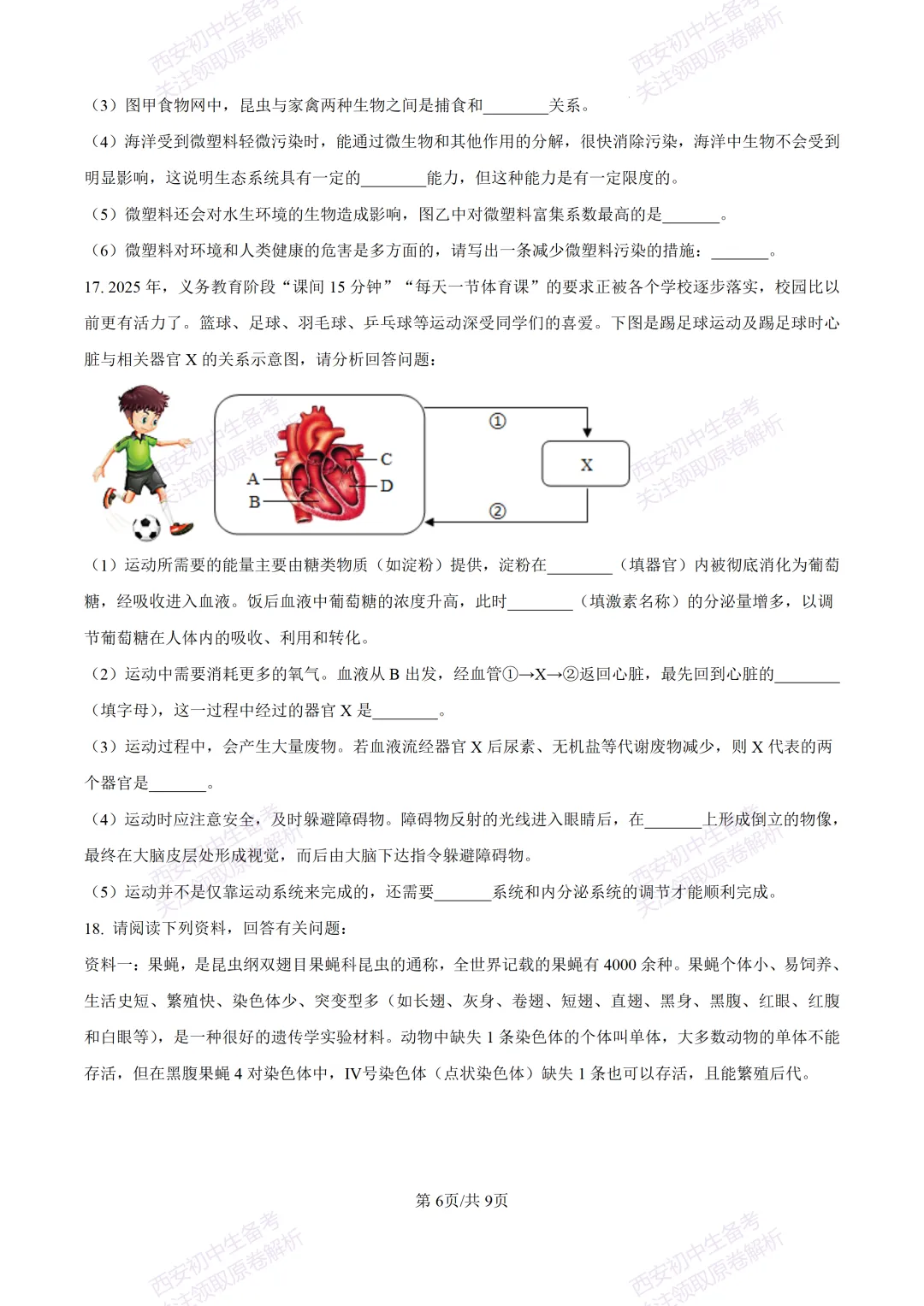 生物复习真题!西安2025中考模拟【莲湖区】八年级三模考试,生物试题,试卷+完整版答案,免费下载! 第12张