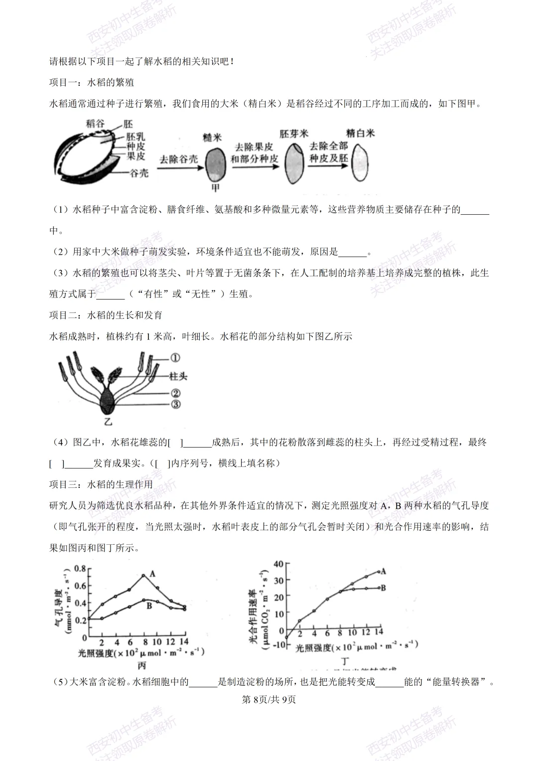 生物复习真题!西安2025中考模拟【莲湖区】八年级三模考试,生物试题,试卷+完整版答案,免费下载! 第14张