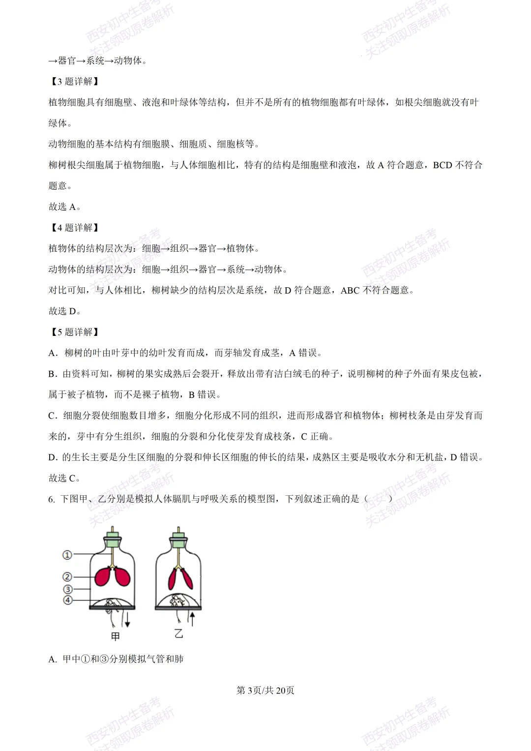 生物复习真题!西安2025中考模拟【莲湖区】八年级三模考试,生物试题,试卷+完整版答案,免费下载! 第19张