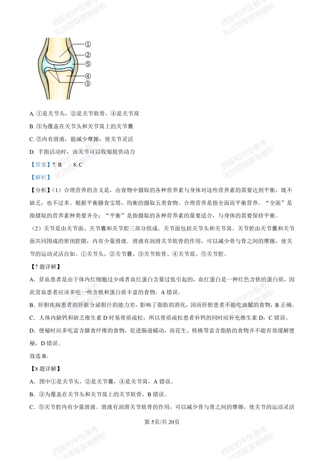 生物复习真题!西安2025中考模拟【莲湖区】八年级三模考试,生物试题,试卷+完整版答案,免费下载! 第21张