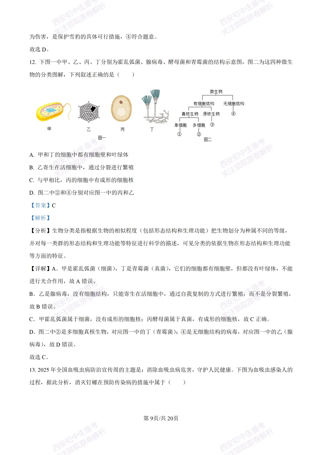 生物复习真题!西安2025中考模拟【莲湖区】八年级三模考试,生物试题,试卷+完整版答案,免费下载! 第25张