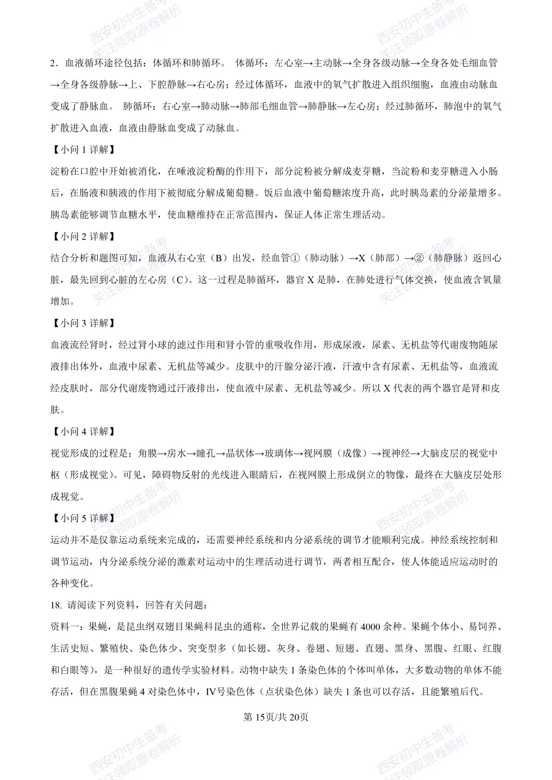 生物复习真题!西安2025中考模拟【莲湖区】八年级三模考试,生物试题,试卷+完整版答案,免费下载! 第31张