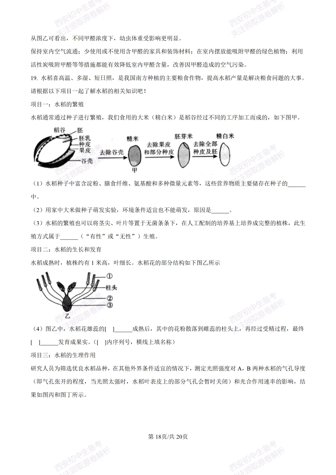生物复习真题!西安2025中考模拟【莲湖区】八年级三模考试,生物试题,试卷+完整版答案,免费下载! 第34张