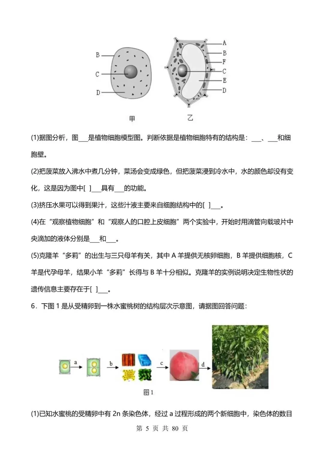 生物会考|2026中考生物备考【非选择题】易错必刷30题,附答案解析,完整电子版可打印! 第5张