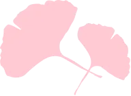 第248期【备考指南】2025年陕西中考语文作文、阅读阅卷心得 第3张