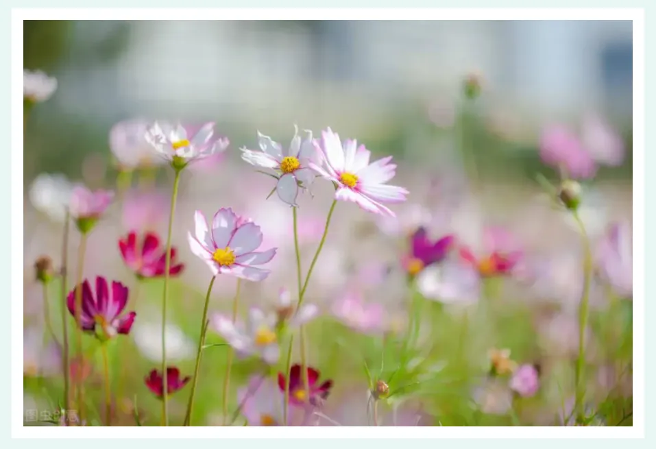 2026 中考英语必练!热点话题完形填空精练(一) 第3张 2026 中考英语必练!热点话题完形填空精练(一) 第3张