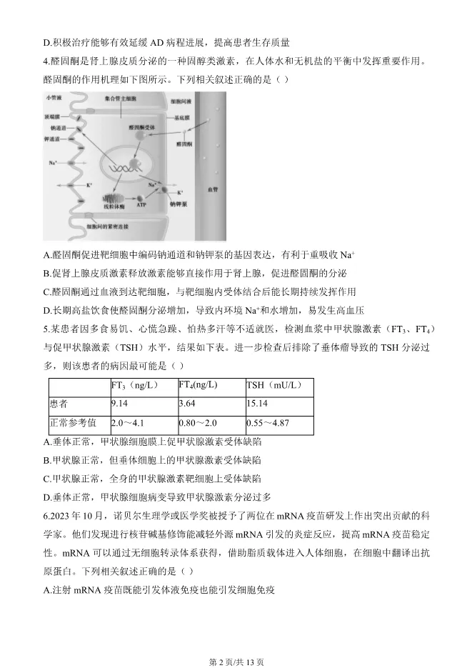 2024北京朝阳高二上册期末生物试卷(有答案)【可下载】 第2张