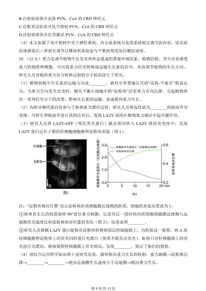 2024北京朝阳高二上册期末生物试卷(有答案)【可下载】 第9张