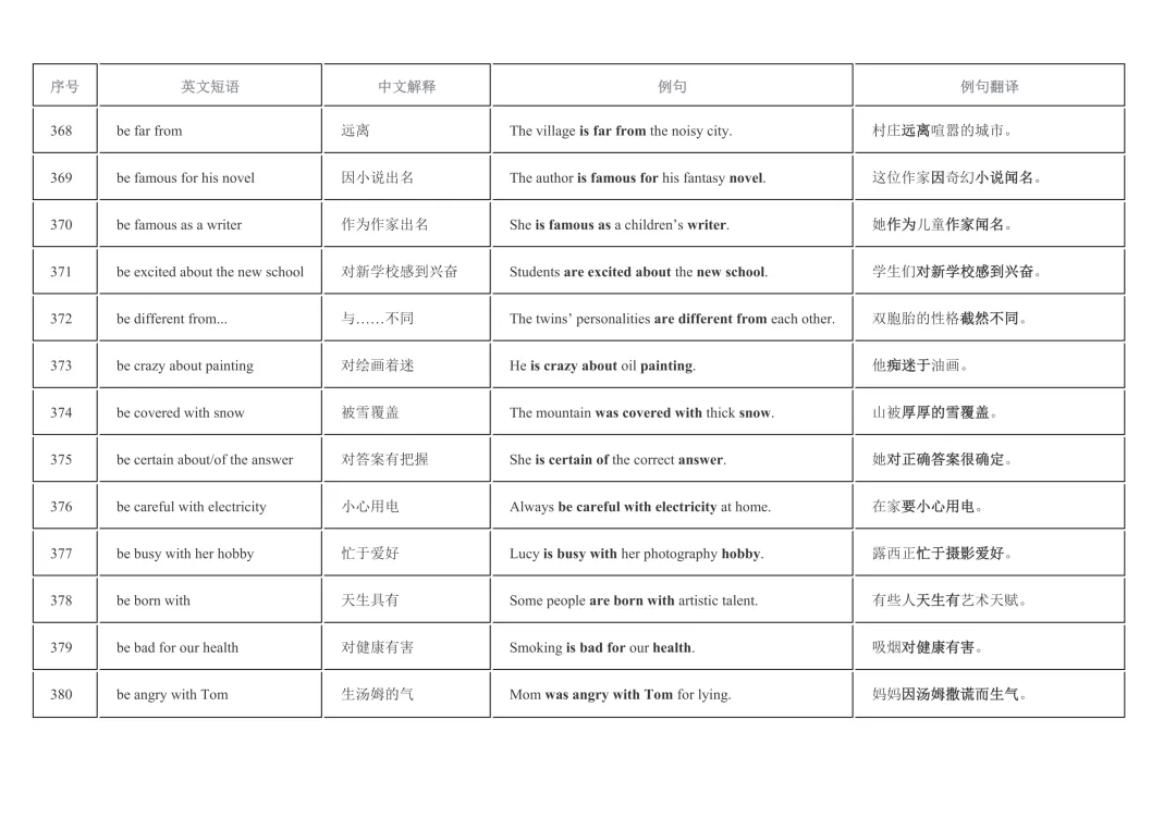2026年中考英语重点短语复习背诵计划表(12天) 第40张