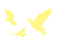 青春回响 ▏逐光向新赴中考,护绿守美向未来 第1张 青春回响 ▏逐光向新赴中考,护绿守美向未来 第1张