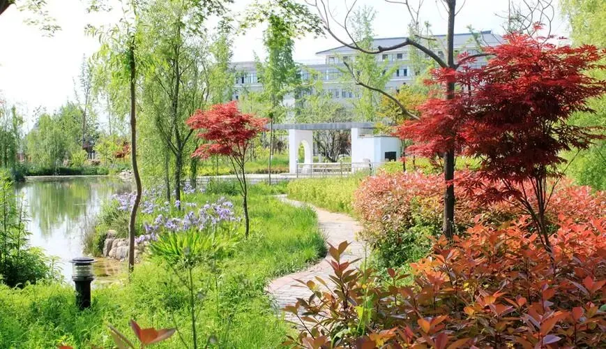 陕西单招必考题目!20道高频真题+标准答案 第3张 陕西单招必考题目!20道高频真题+标准答案 第3张