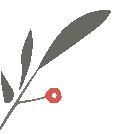 青春回响 ▏逐光向新赴中考,护绿守美向未来 第3张 青春回响 ▏逐光向新赴中考,护绿守美向未来 第3张