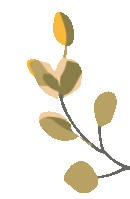 青春回响 ▏逐光向新赴中考,护绿守美向未来 第4张 青春回响 ▏逐光向新赴中考,护绿守美向未来 第4张