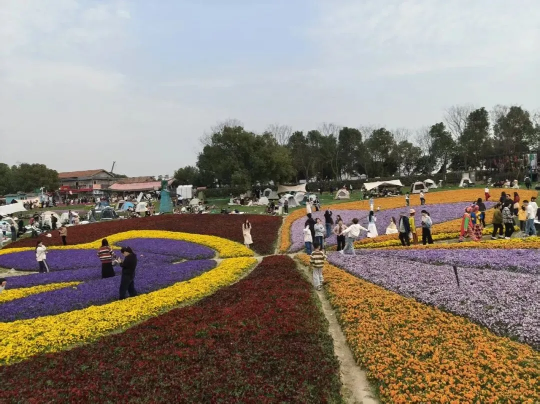 这届父母,比起满分试卷,原来更在意...... 第1张