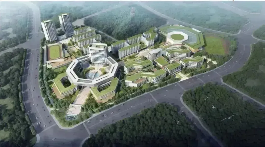 5年数据!广州中考平均分变化!全区招生!华附、省实、广外、执信、广雅等超多名校! 第6张