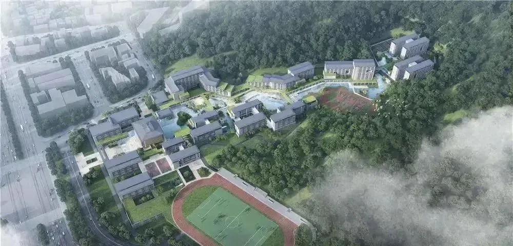 5年数据!广州中考平均分变化!全区招生!华附、省实、广外、执信、广雅等超多名校! 第13张