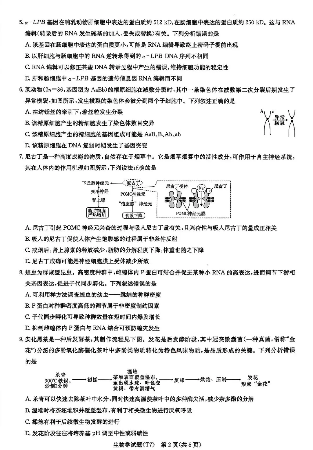 湖南师大附中2026届高三月考试卷七生物 第2张