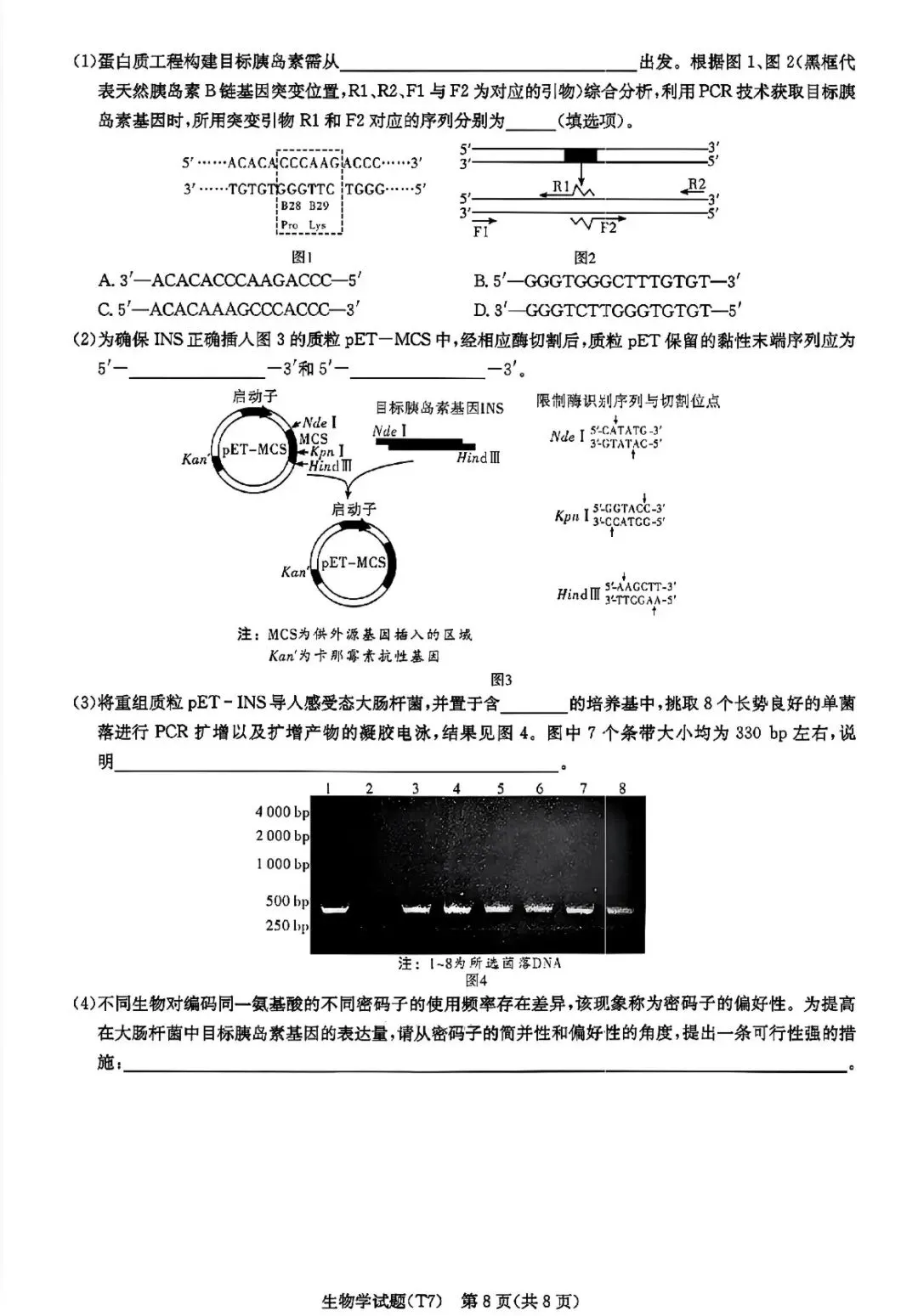 湖南师大附中2026届高三月考试卷七生物 第7张