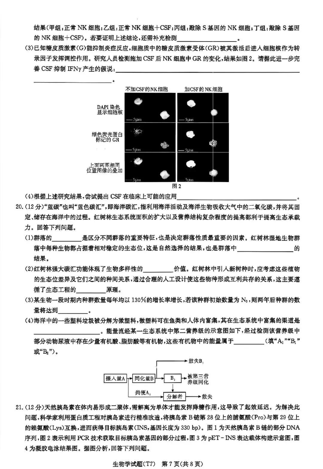 湖南师大附中2026届高三月考试卷七生物 第8张