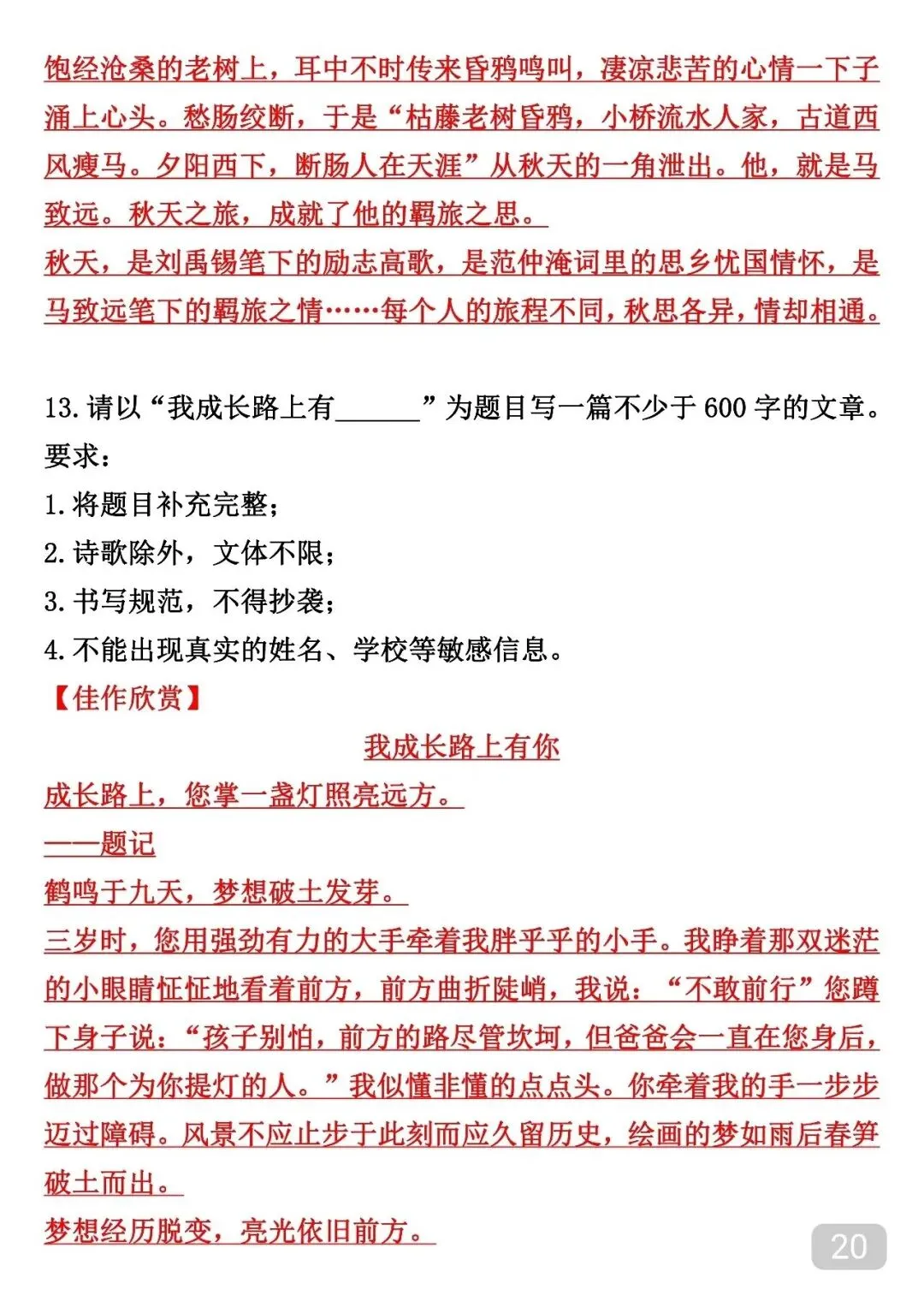 中考各题材作文范文仿写可以参考 第21张
