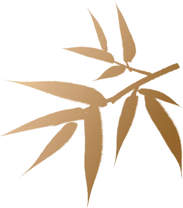 长春初三家长不用愁:中考志愿怎么填?流程 + 学校清单直接拿 第11张 长春初三家长不用愁:中考志愿怎么填?流程 + 学校清单直接拿 第11张