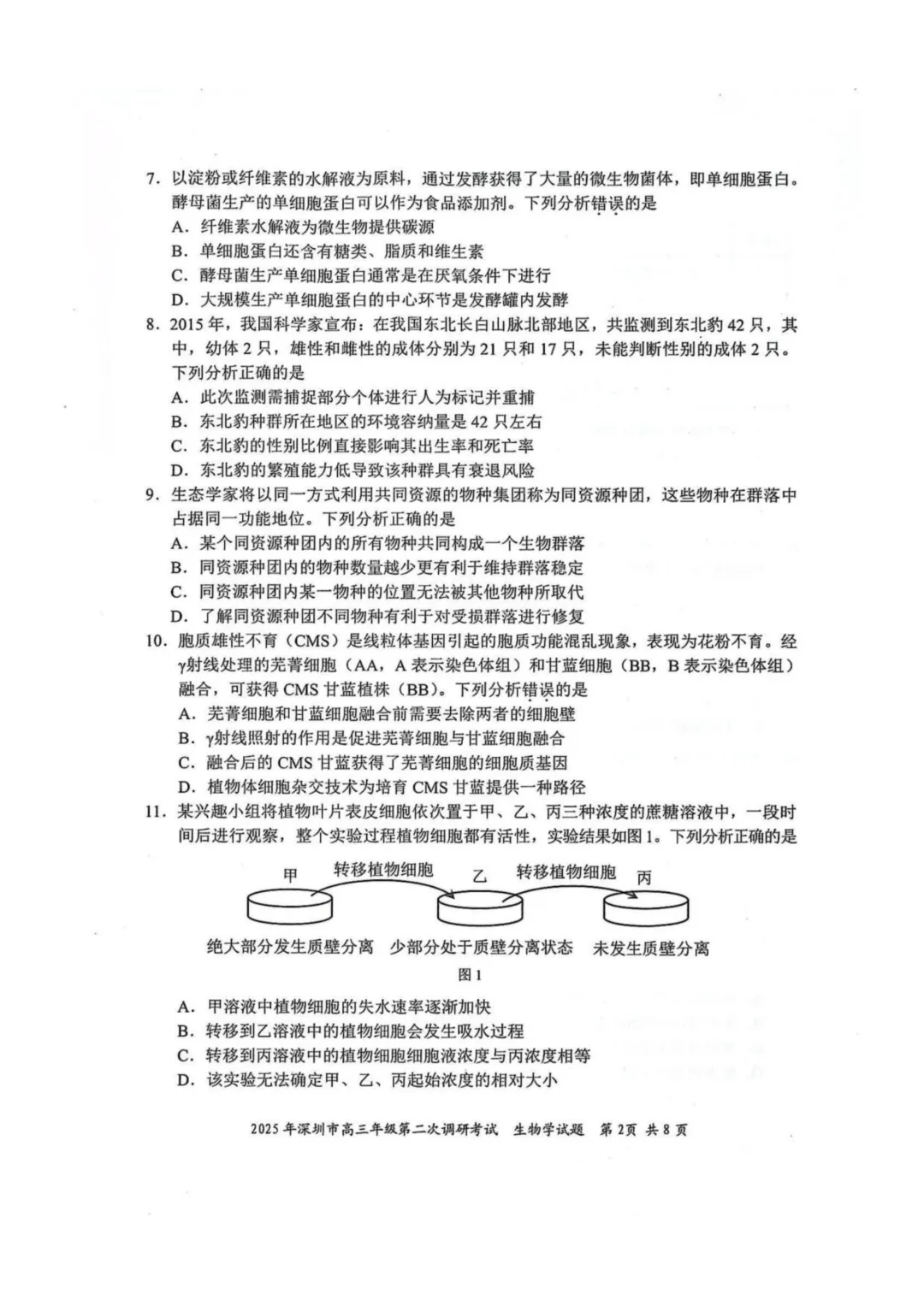 深二模 4月22日开考!历年真题免费领 第16张 深二模 4月22日开考!历年真题免费领 第16张