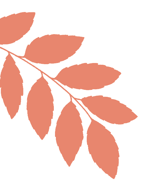 聚焦新教材,备战新中考——东胜区第二中学英语组半日深度教研活动侧记 第12张 聚焦新教材,备战新中考——东胜区第二中学英语组半日深度教研活动侧记 第12张