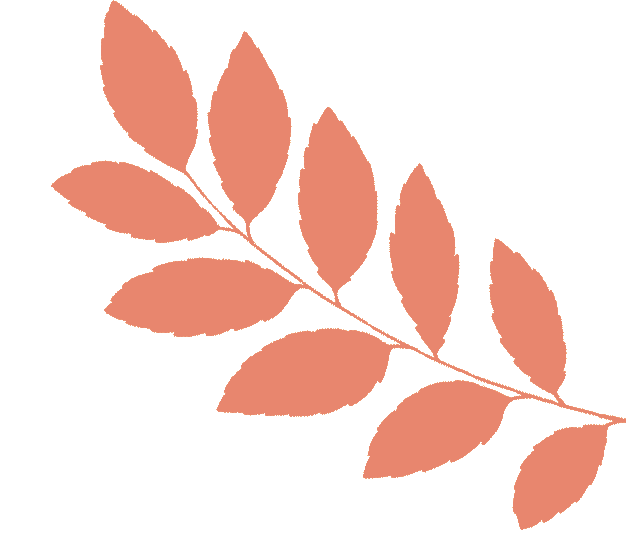 聚焦新教材,备战新中考——东胜区第二中学英语组半日深度教研活动侧记 第15张 聚焦新教材,备战新中考——东胜区第二中学英语组半日深度教研活动侧记 第15张