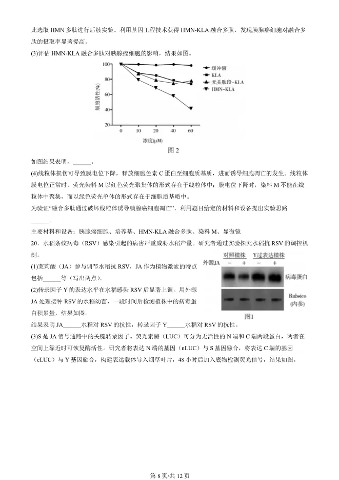 2024北京朝阳高三上册期末生物试卷(有答案)【可下载】 第8张