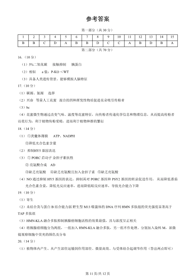 2024北京朝阳高三上册期末生物试卷(有答案)【可下载】 第11张