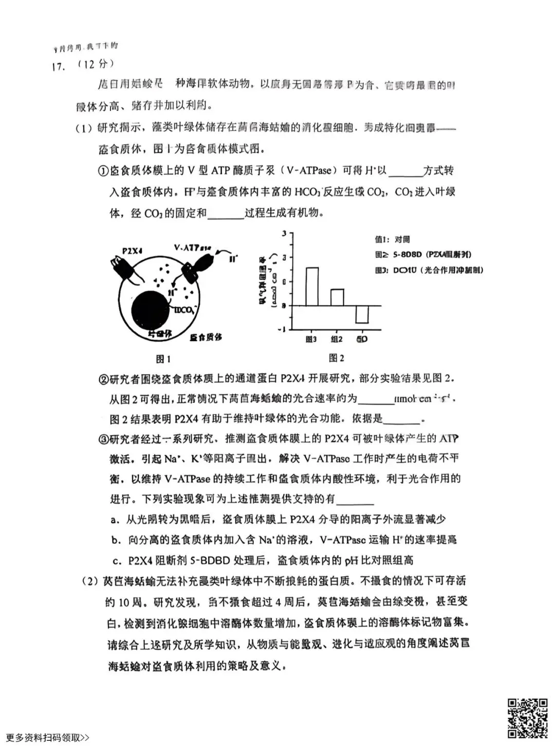2026北京三十五中高三3月月考生物试卷(含答案) 第6张