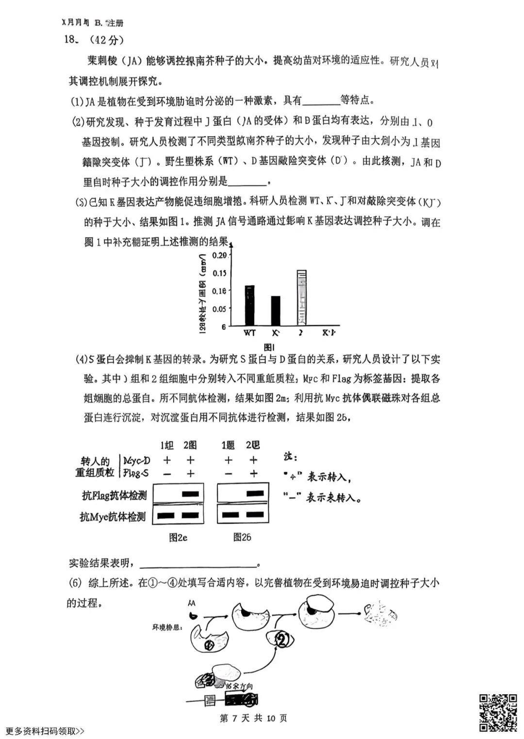 2026北京三十五中高三3月月考生物试卷(含答案) 第7张