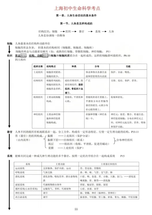 满分必备!上海中考跨学科要点梳理+答题模板+100道必刷题 第4张