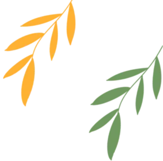 聚焦中考备考,提升教学实效 ——八步区2026年初中生物中考备考研讨活动在八步区第五实验中学顺利举行 第4张