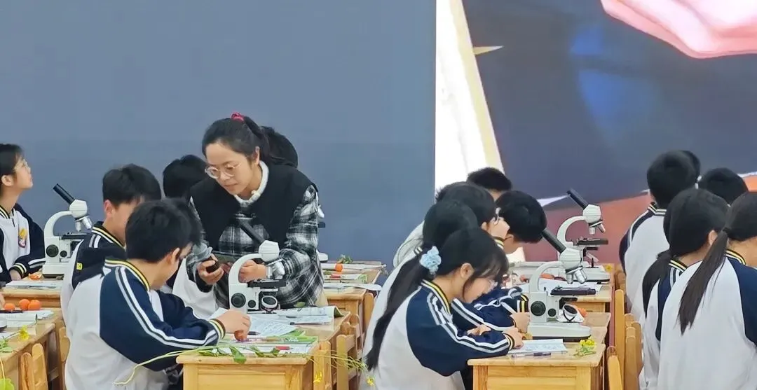 聚焦中考备考,提升教学实效 ——八步区2026年初中生物中考备考研讨活动在八步区第五实验中学顺利举行 第13张 聚焦中考备考,提升教学实效 ——八步区2026年初中生物中考备考研讨活动在八步区第五实验中学顺利举行 第13张