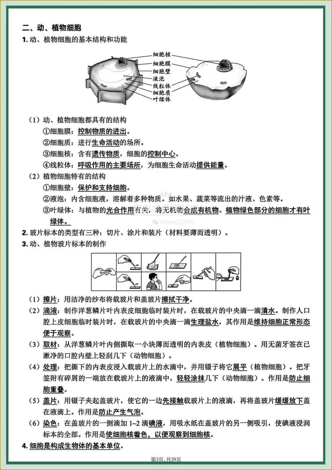 26年中考【26生物会考】全四册〈生物〉全册《核心知识点梳理+章节思维导图》,电子版可下载打印! 第6张 26年中考【26生物会考】全四册〈生物〉全册《核心知识点梳理+章节思维导图》,电子版可下载打印! 第6张
