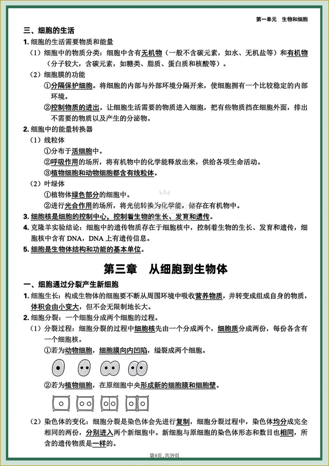 26年中考【26生物会考】全四册〈生物〉全册《核心知识点梳理+章节思维导图》,电子版可下载打印! 第7张 26年中考【26生物会考】全四册〈生物〉全册《核心知识点梳理+章节思维导图》,电子版可下载打印! 第7张